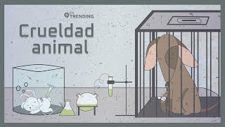 🐭🐒 CRUELDAD ANIMAL  ¿Es necesaria la Experimentación con animales  EnTrending [upl. by Ewart]