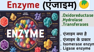 EnzymeएंजाइमEnzyme biochemistryenzyme in hindiOxidoreductaseHydrolasetransferaseKiran maurya [upl. by Eniamurt]