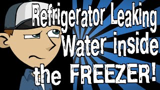 My Refrigerator is Leaking Water Inside the Freezer [upl. by Margy]