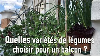 Potager urbain  quelles variétés de légumes choisir pour son balcon [upl. by Plantagenet]