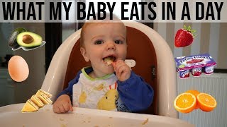 WHAT MY BABY ATE IN A DAY  9 MONTHS  BABY LED WEANING [upl. by Ardnasirhc85]