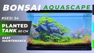 Building an Ecosystem in an Aquarium  PLANTED TANK AQUASCAPING [upl. by Hiroko]