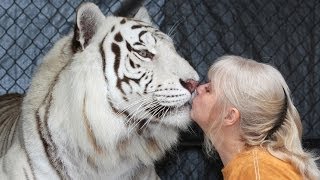 Florida Woman Keeps Bengal Tigers In Her Garden [upl. by Broeder]