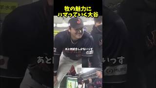 牧の魅力にハマっていく大谷 野球 wbc プロ野球 牧秀吾 大谷翔平 [upl. by Vergil]