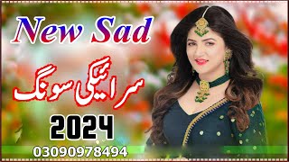 New Saraiki Song 2024  Saraiki All Singer Songs 2024 [upl. by Ricki]