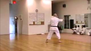 MANJI SAI  OKINAWAN KARATE CLUB OF DALLAS [upl. by Ylluz809]