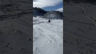 Ski doo 600 efi backcountry wheelie [upl. by Notsob]