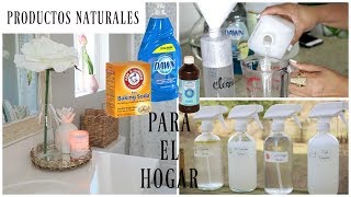 Limpiadores hechos en casa  Clean Casa [upl. by Airdnahs]