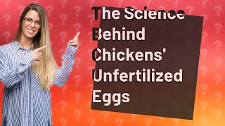 Why do chickens lay unfertilized eggs but other birds don t [upl. by Yensehc]