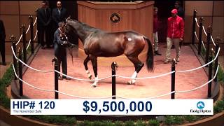 The November Sale 2017 SONGBIRD sells for 95M [upl. by Demetria]