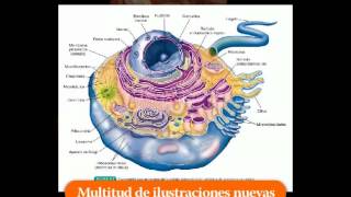 THIBODEAU Estructura y función del cuerpo humano 14ª ed [upl. by Fuchs254]