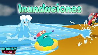 Inundaciones  Rabia aterradora de la naturaleza  Educativos para niños  Documentales en español [upl. by Nede]