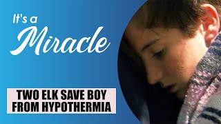 Two Elk Save Boy from Hypothermia  Its A Miracle [upl. by Vinson225]