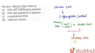 The term chimeric DNA refers to [upl. by Sadnac]