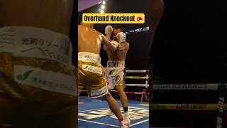 Overhand knockout punch boxingshorts [upl. by Yates114]