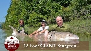 Great River Fishing White Sturgeon Fishing in the Fraser River Canyon [upl. by Xeno]