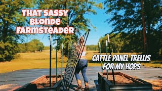 DIY Cattle panel trellis for Hops  Gardening  Texas [upl. by Amann]