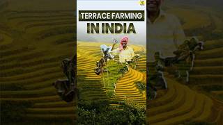 Meaning of Terrace Farming  Its Advantages  Terrace farming in India  Crops grown shorts upsc [upl. by Klusek]