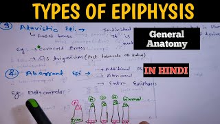 Types of Epiphysis with examples  Bone General Anatomy [upl. by Meggie581]