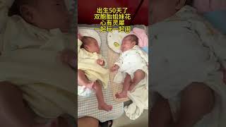 Cuteness Overload Twin Sisters Start Conversing at 50 Days Old twinbabies twinsisters cutebaby [upl. by Anelaf]