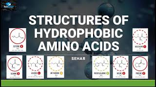 Structure Of Hydrophobic Amino acids Easy Memorization [upl. by Yenahpets798]