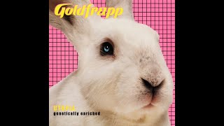 Goldfrapp  Utopia Tom Middleton Cosmos Acid Dub [upl. by Shelby325]