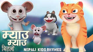 Meow Meow Biralo म्याउ म्याउ Mau Mau Popular Rhymes For ChildrenFamous Rhymesबाल गीत New Rhymes [upl. by Ludwog]