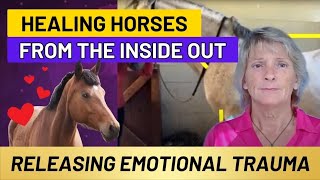 Healing Horses Inside and Out  Emotion Code Insights  Holistic Horseworks [upl. by Eigriv]