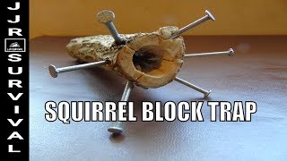 How To Make A Squirrel Block Trap [upl. by Ecirp]