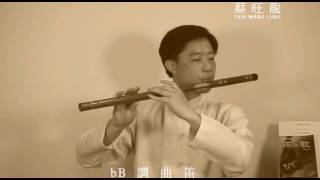 新鴛鴦蝴蝶夢／Alto bB Chinese Bamboo Flute／DiZi／bB調曲笛吹 [upl. by Pardo]