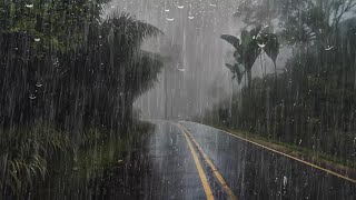 Lluvia Relajante Para Dormir y Relajarse en 6 Minutos  Sonidos de Lluvia en Bosque Brumoso  ASMR [upl. by Caro]