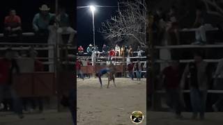 Chintete traía su jinete colgando🤯🔥 jaripeo toros caladebecerros abril2024 RanchoElTepehuaje [upl. by Filahk]