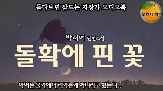 아이가 없던 옆집에 어느날 남자가 여자아이를 밖에서 낳아 데려왔다 복덩이라고 예뻐하더니만 돌확에 핀 꽃  박래여 단편소설 [upl. by Ardena]