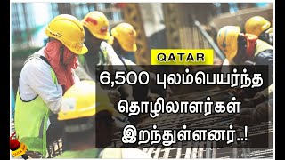 6500 புலம்பெயர்ந்த தொழிலாளர்கள் இறந்துள்ளனர் என்ன நடக்கிறது Qatarயில் Qatar Migrant Workers Died [upl. by Erastatus]