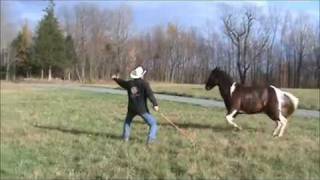 Parelli Horse Training  Amazing Liberty amp Trailer Loading [upl. by Xyno]