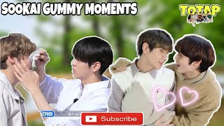 SOOKAI  The Gummy Moments  PART 2 [upl. by Eerak950]