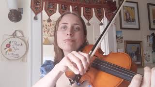 The Limerick Rake  Fiddle Tunes of Quarantine 36 [upl. by Kered]