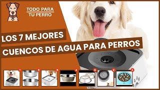 Los 7 mejores cuencos de agua para perros [upl. by Nevram234]