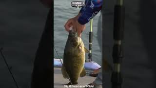 Trey McKinney with back to back small mouth bass bassmasterofficial shorts [upl. by Powel]