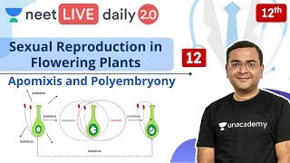 NEET Sexual Reproduction in Flowering Plants  L12  Live Daily 20  Unacademy NEET  Pradeep Sir [upl. by Auqinehs734]