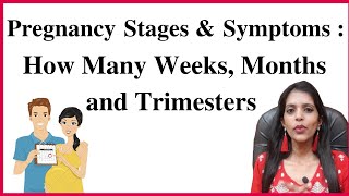 Pregnancy Weeks To Months  1 To 9 Weeks Fetal Developments [upl. by Novihs]