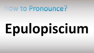 How to Pronounce Epulopiscium [upl. by Elagiba]