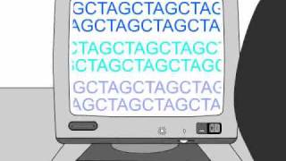 How to Sequence a Genome 11 Working Draft Sequence [upl. by Nireil]