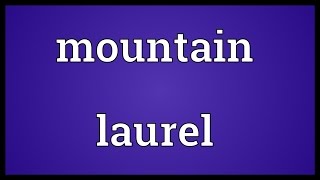 Mountain laurel Meaning [upl. by Monk]