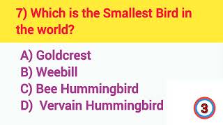 general knowledge of birds  G K Questions [upl. by Esau]