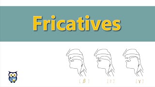 Fricatives [upl. by Henig400]