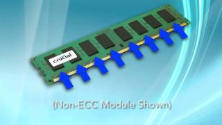 Whats the Difference Between ECC Memory and NonECC Memory [upl. by Fleck]