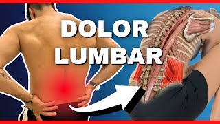 🔴 Los Mejores 5 Ejercicios para Mejorar Tu DOLOR LUMBAR ¡NO TE QUEDES PILLADO [upl. by Wisnicki939]