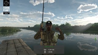 Fishing Planet  Everglades  Florida  Trophy Warmouth [upl. by Godred]