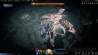 Lost Ark Spider Boss Paladin LA 1080p PC [upl. by Schwing]